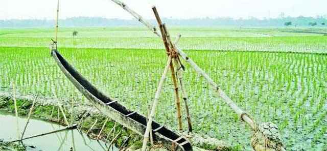 বিলীন হয়ে গেছে বাংলার ঐতিহ্যবাহী সেচযন্ত্র “দোন”