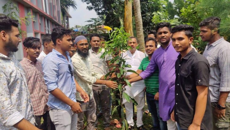 প্রধানমন্ত্রীর জন্মদিন উপলক্ষে ডামুড্যায় বৃক্ষরোপণ কর্মসূচি!