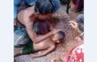 উলিপুরে বজ্রপাতে শিশুর মৃত্যু