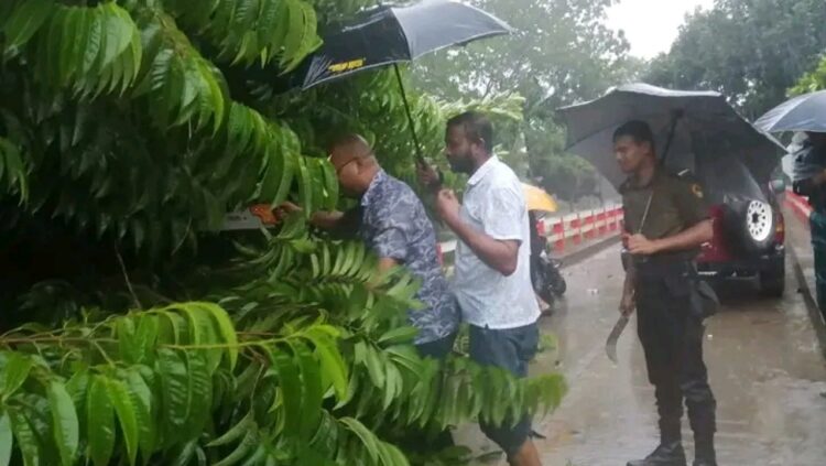 ঝড়ে রাস্তায় ভেঙ্গে পড়া গাছ কাটলেন ইউএনও!