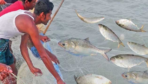 মধ্যরাত থেকে ইলিশ ধরা নিষিদ্ধ