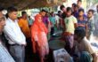 প্রায় ৩ মণ ইলিশ জব্দ, এতিমখানায় বিতরণ