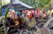 কালকিনিতে অগ্নিকাণ্ডে বসতঘর পুড়ে ছাই