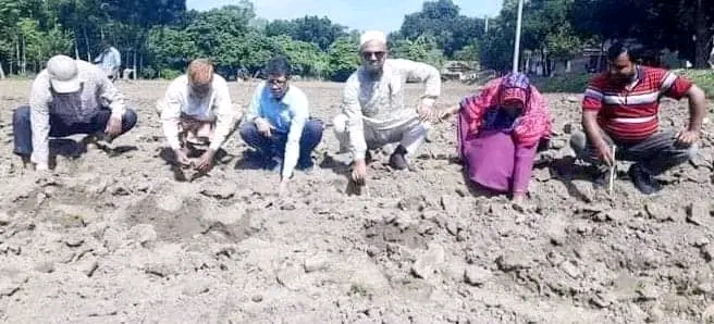 লালপুর নবেসুমিতে ইক্ষু রোপণ কার্যক্রম শুরু!