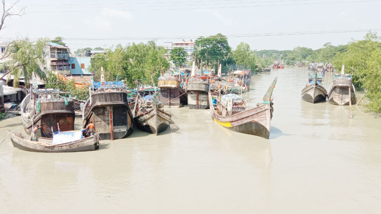 সাগরে ইলিশ নেই, বিপাকে জেলে-ট্রলার মালিকরা!