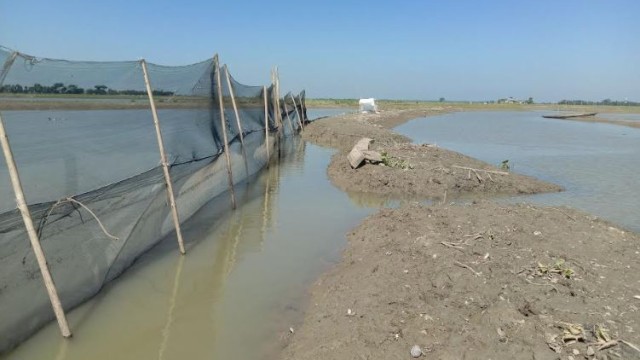 মদনে বাঁধ দখল করে মাছ বিক্রির অভিযোগ!