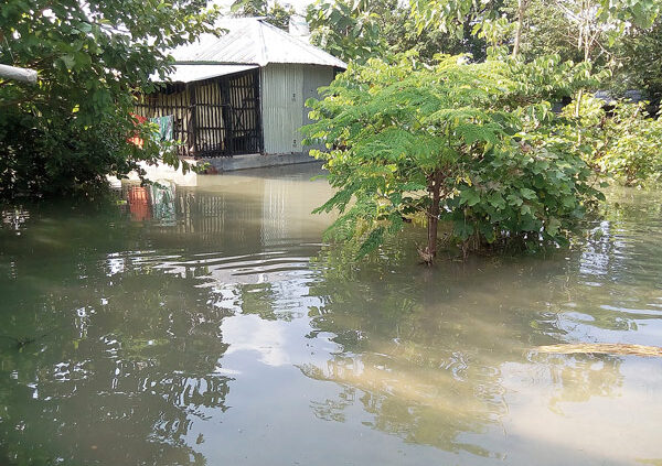 হাঁটু পানি আর সাপের আতঙ্কের মধ্যেও হচ্ছে প্রাথমিকের পরীক্ষা