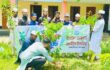 ওসমানীনগরে তালামীযের বৃক্ষরোপণ কর্মসূচি পালিত 