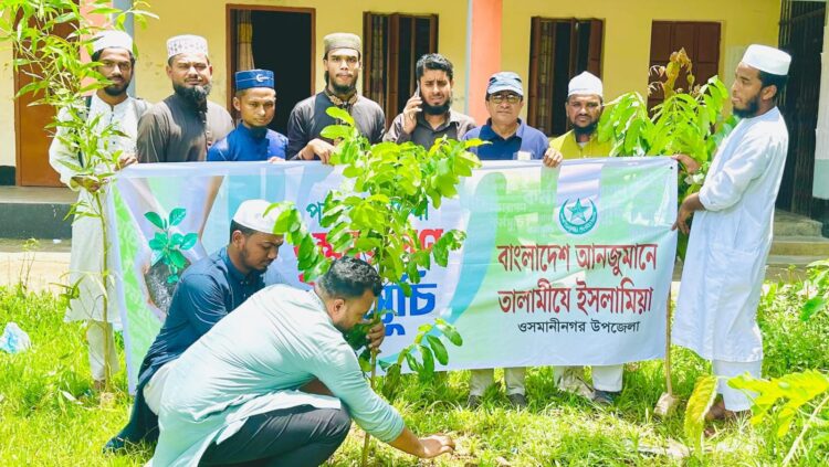 ওসমানীনগরে তালামীযের বৃক্ষরোপণ কর্মসূচি পালিত 